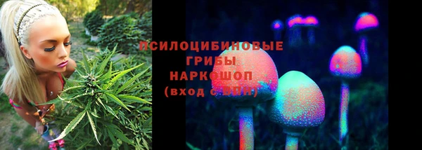 таблы Алзамай