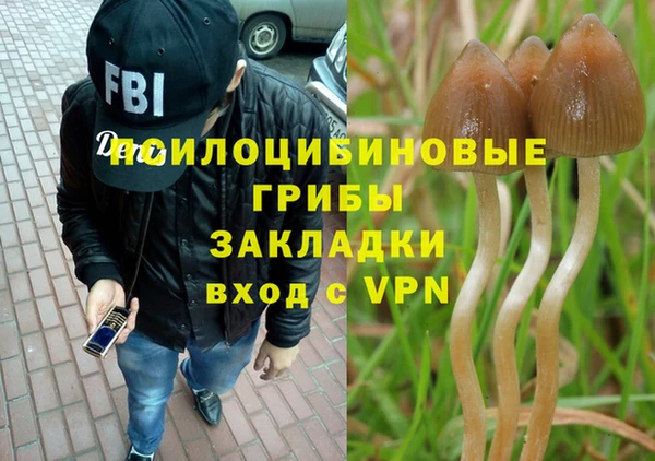 спиды Алексеевка