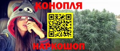 гашик Можга