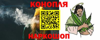 гашик Можга