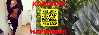 гашик Можга