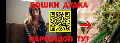 гашик Можга