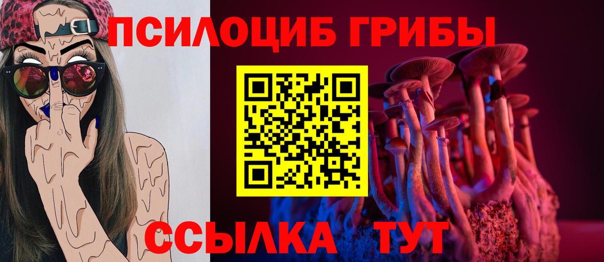 Галлюциногенные грибы мицелий  Вход с VPN  Псилоцибиновые грибы Magic Shrooms  Геленджик 
