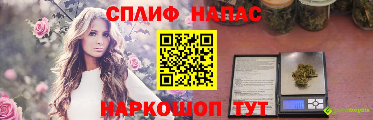 Бошки Шишки план Геленджик